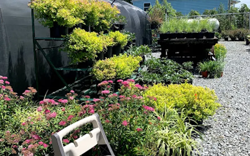 Sullivan's Landscaping & Maintenance — Landscaper