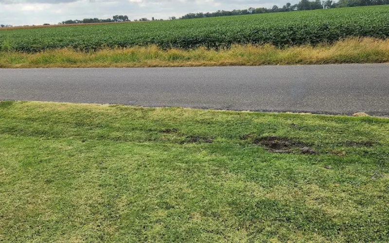 KMJ Lawn Svc LLC — Lawn care service