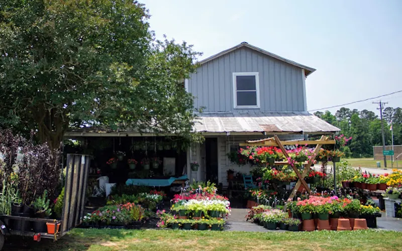 Beulaville Nursery & Garden Center — Plant nursery