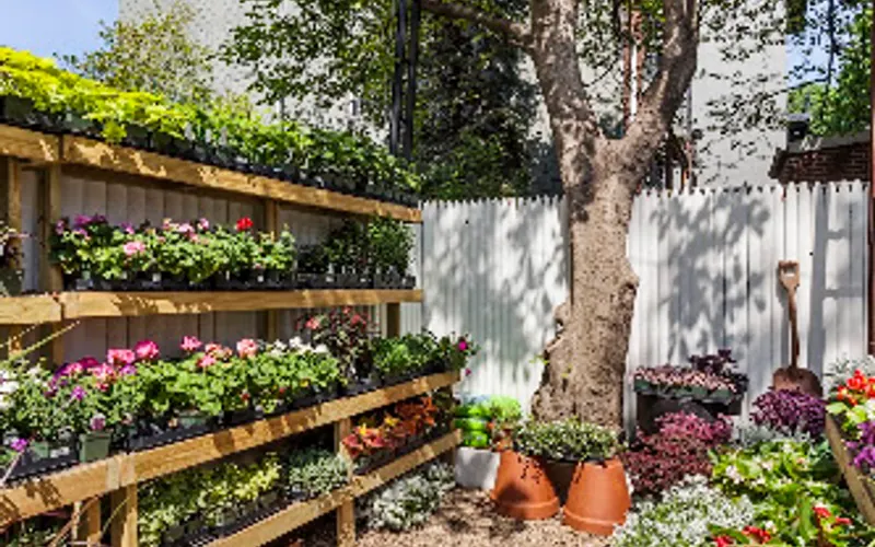 Tend Greenpoint — Garden center
