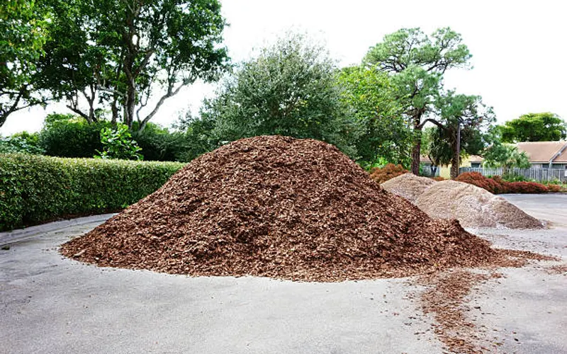 Tampa Crosstie & Landscape — Landscaping supply store