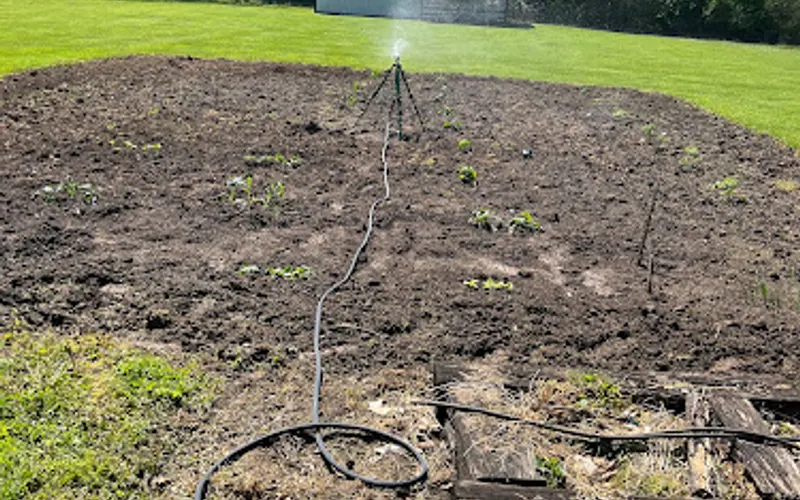 Pot-Luck Greenhouse — Garden center