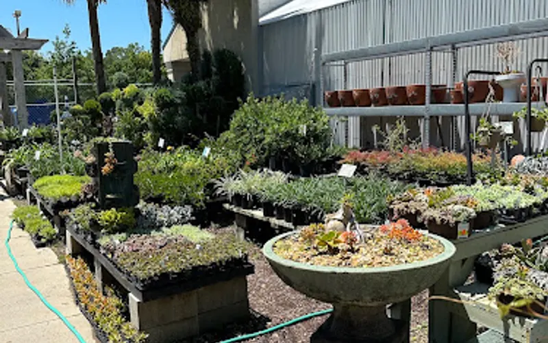 Hagan Ace Garden Center — Garden center