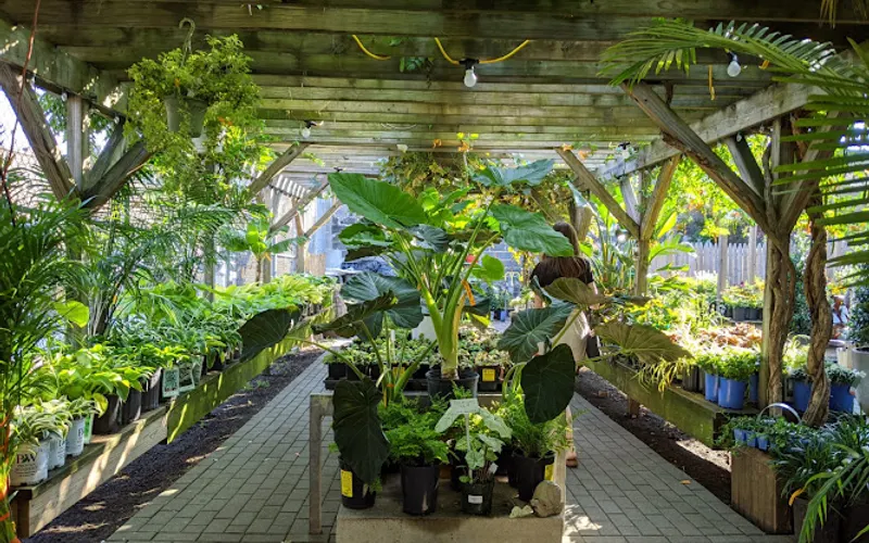 Chelsea Garden Center — Garden center