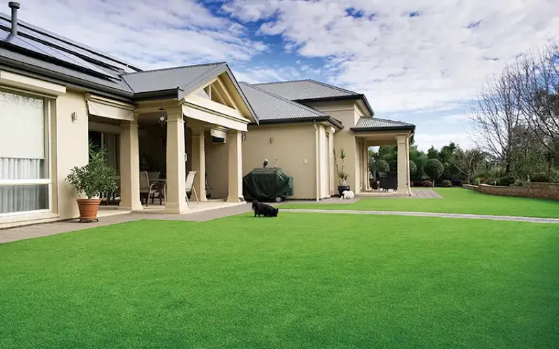 Panda Grass USA — Landscaping supply store
