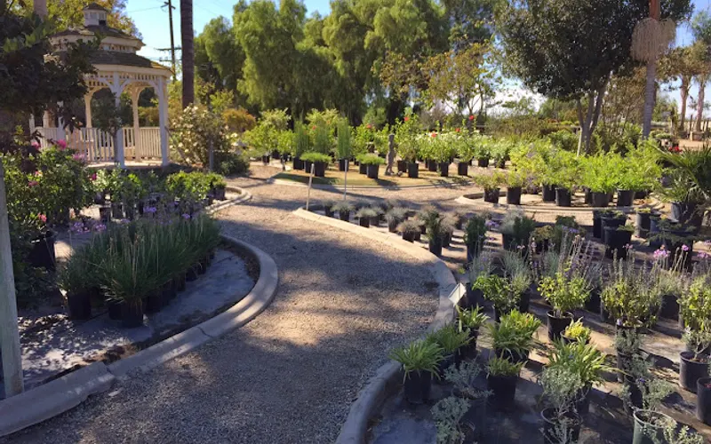 Green Tree Nursery — Plant nursery