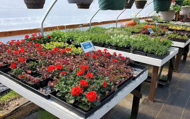 Basket Case Greenhouse — Garden center