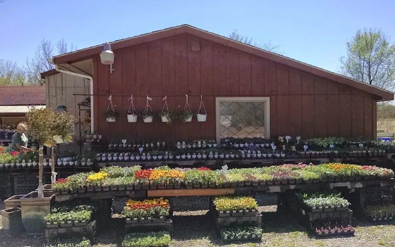 Hilltop Nursery — Garden center