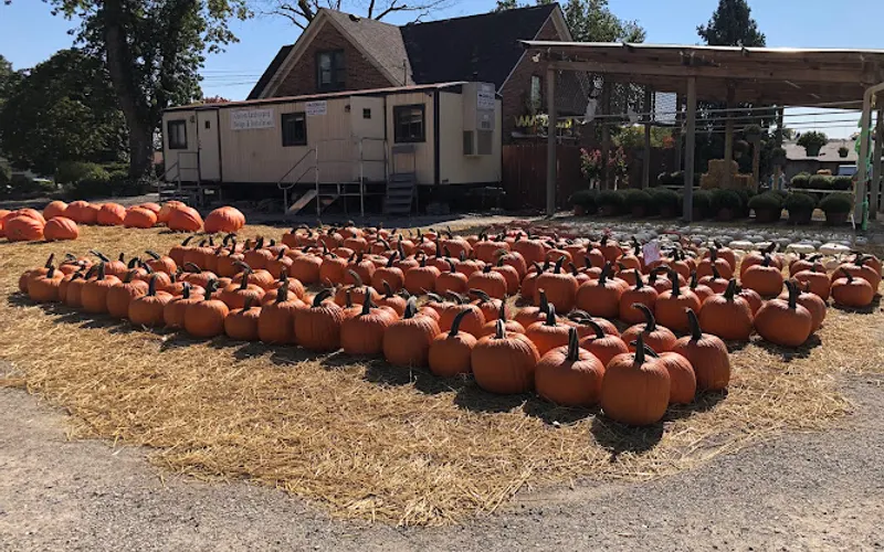 Massab Acres Greenhouse & Farm — Landscaping supply store