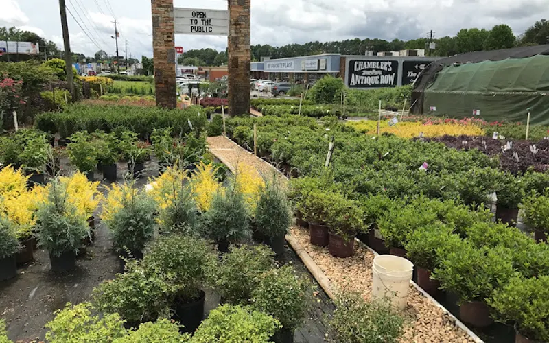 Georgia Wholesale Nursery — Wholesale plant nursery