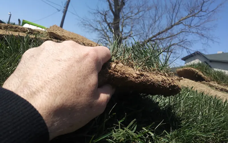 Gerdes Turf Farms, Inc. — Sod supplier
