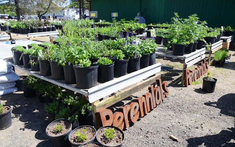 Pennfield Gardens — Garden center