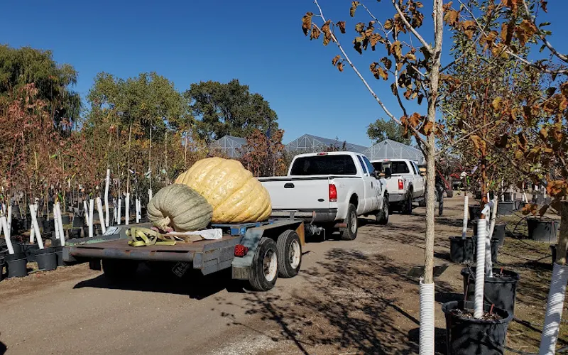 Fort Collins Nursery — Landscaping supply store