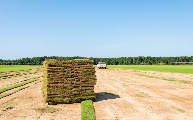 Modern Turf - Rembert — Landscaping supply store