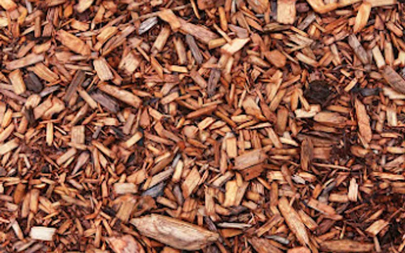 Magnolia Skid Row Mulching — Mulch supplier