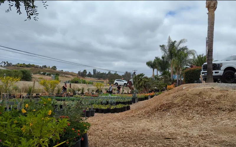 Curby's Nursery — Plant nursery