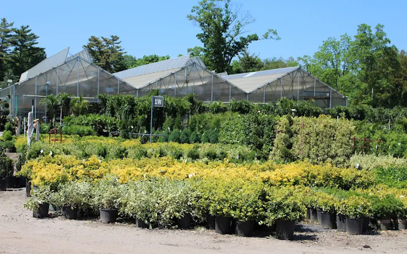 Hicks Commercial Sales — Wholesale plant nursery