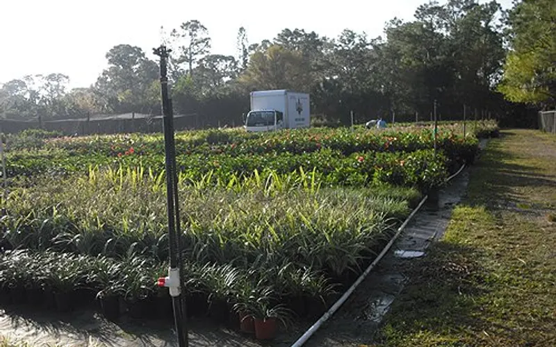 The Garden Depot — Garden center