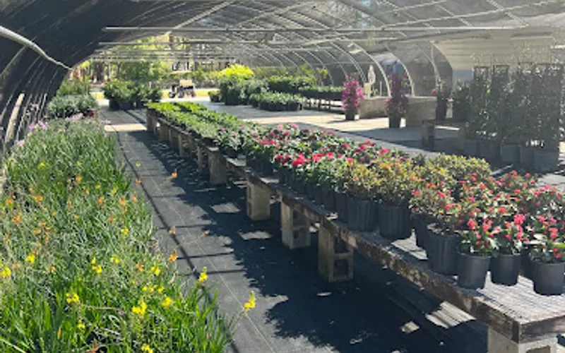 First Dirt Farms — Plant nursery