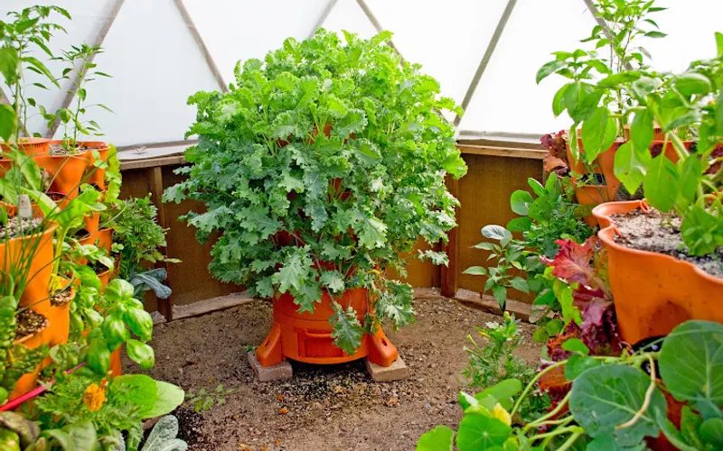 Garden Tower Project — Garden center
