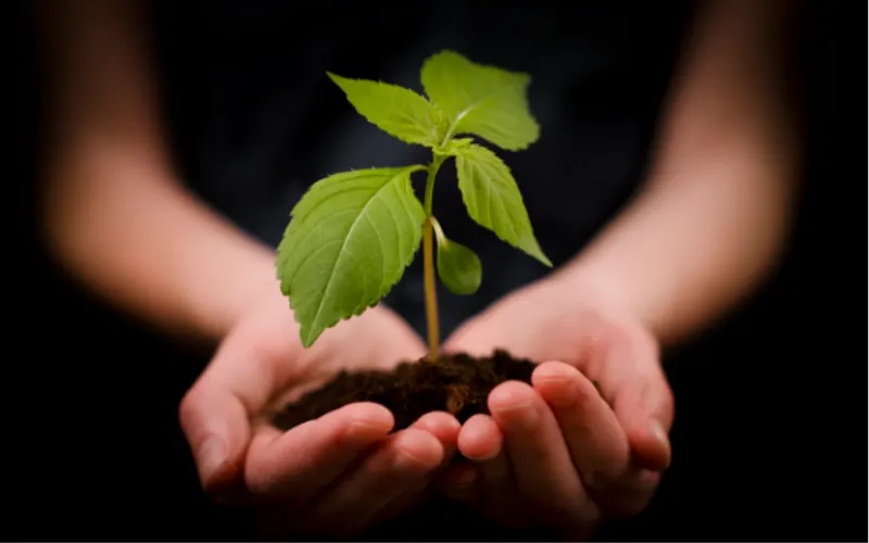 Ground Up Soil — Landscaping supply store