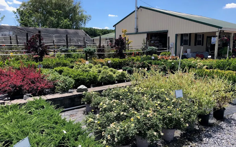 Still Pond Nursery Sales — Garden center