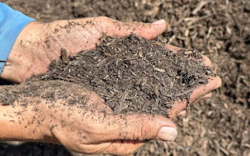Full Sun Compost — Store
