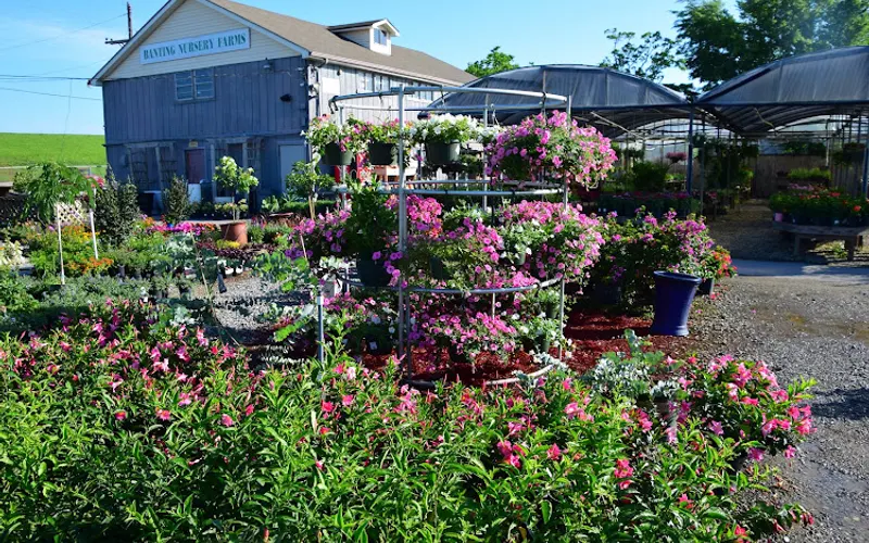 Banting's Nursery — Topsoil supplier