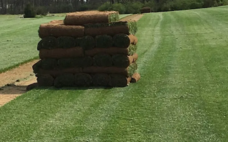 Green Horizons Turf Farm — Sod supplier