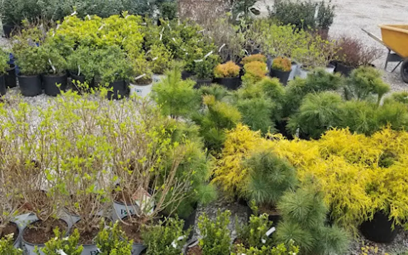 Shelby Nursery & Garden Center — Garden center