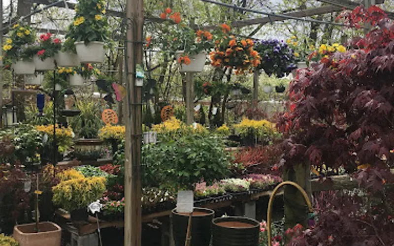 Secret Garden and party rental — Garden center
