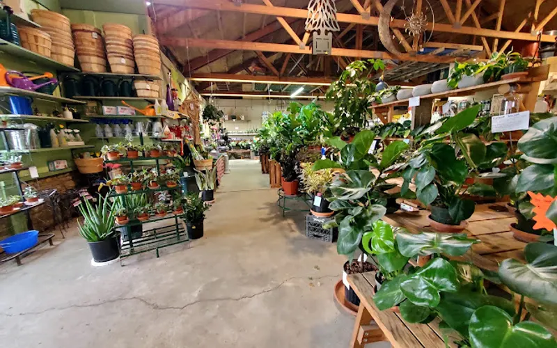Habig Garden Shops-Westfield — Garden center