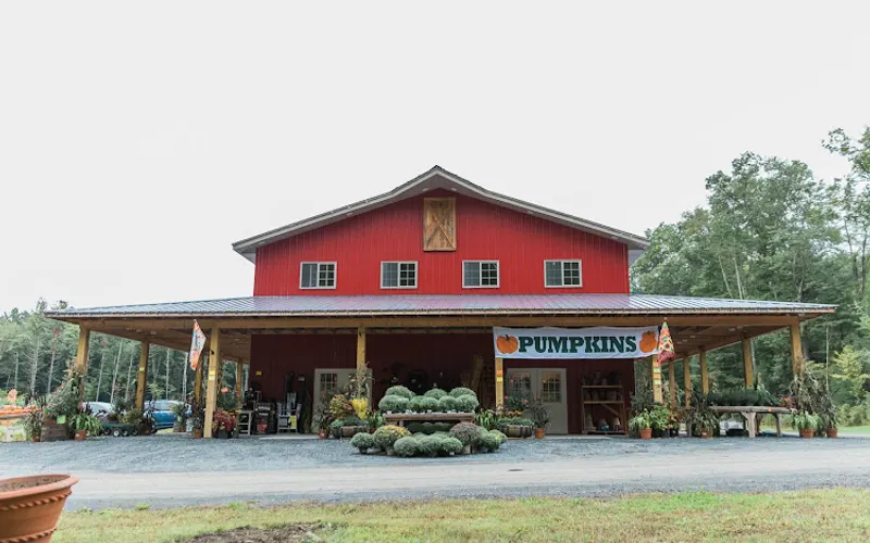 Kalleco Nursery Corp. — Plant nursery