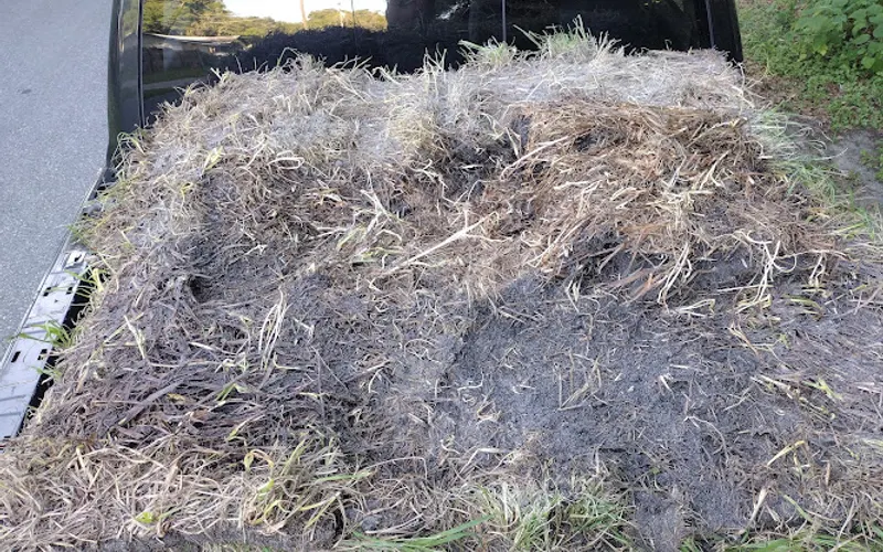 Sod Central — Sod supplier