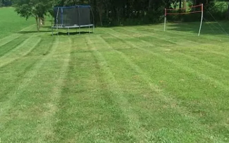 Wayne County Outdoor Service's LLC — Lawn care service