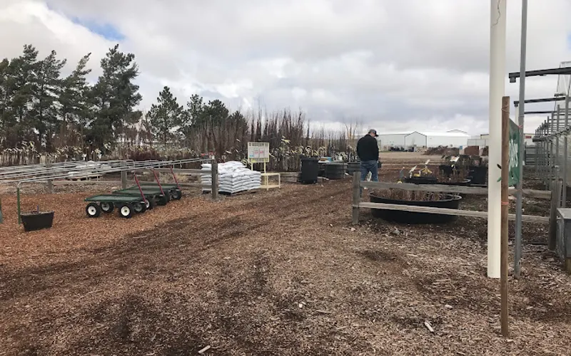 Town & Country Gardens — Garden center