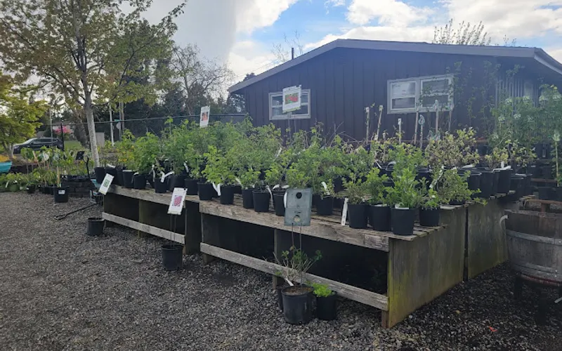 7 Dees Garden Center — Landscaping supply store