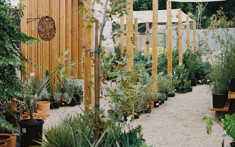 Plant Material — Garden center