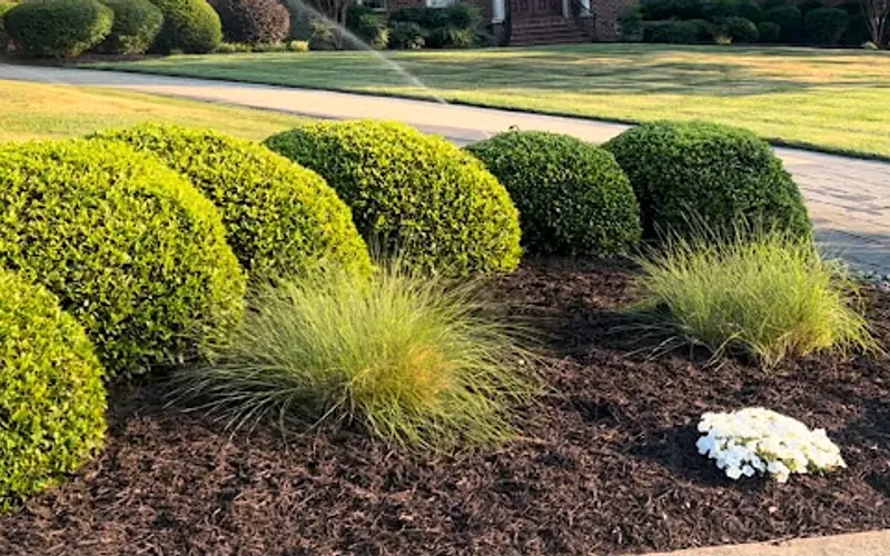 Mulch Supply Co. — Mulch supplier
