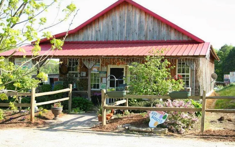Olde Country Produce and Mulch — Mulch supplier