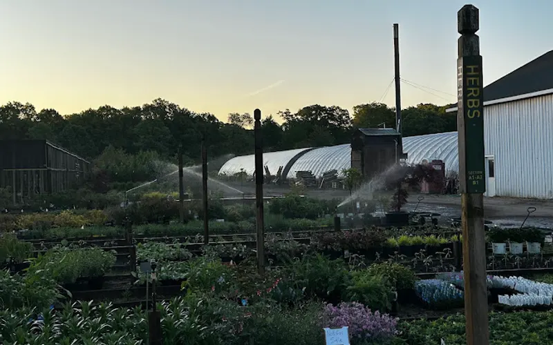 Barry's Greenhouses and Landscaping — Landscaping supply store