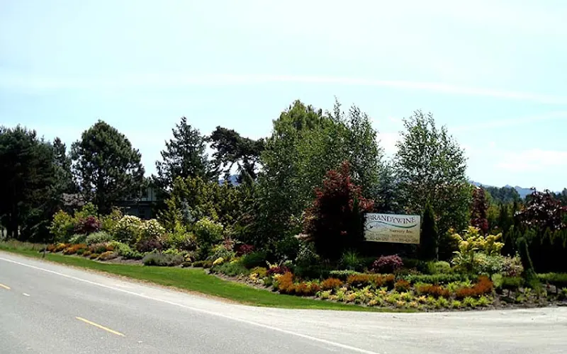 Brandywine Nursery Inc — Plant nursery