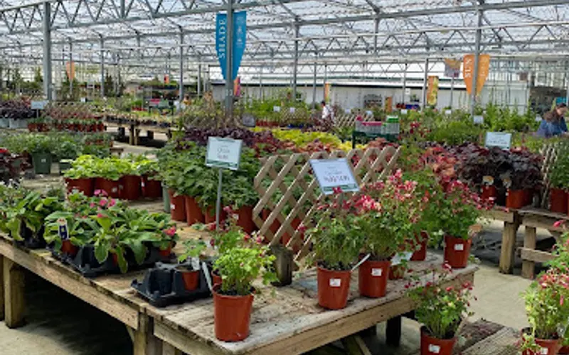 Petitti Garden Centers — Garden center