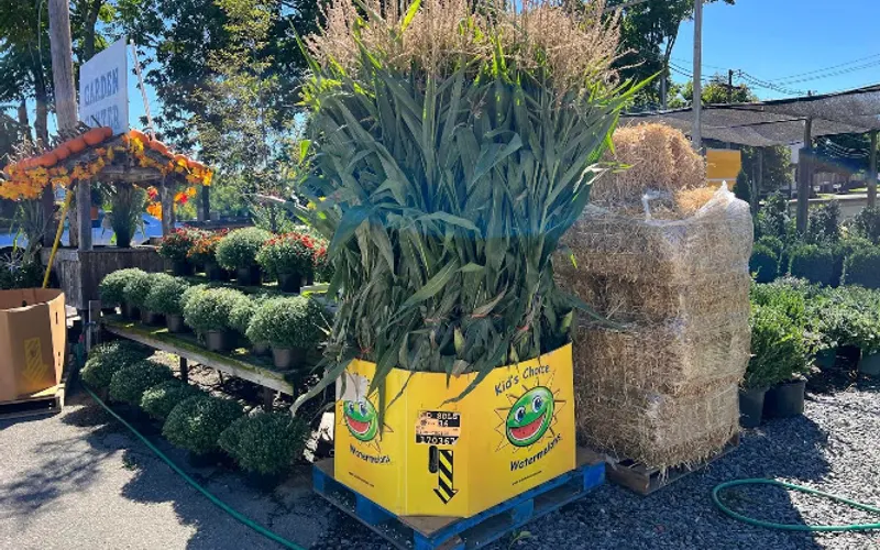 Fairway Estate Garden Center — Garden center