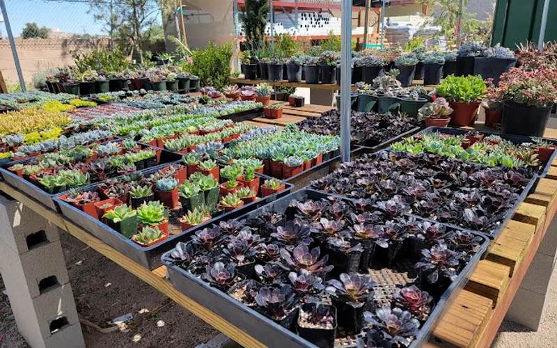 Quartz Hill Garden Center — Garden center