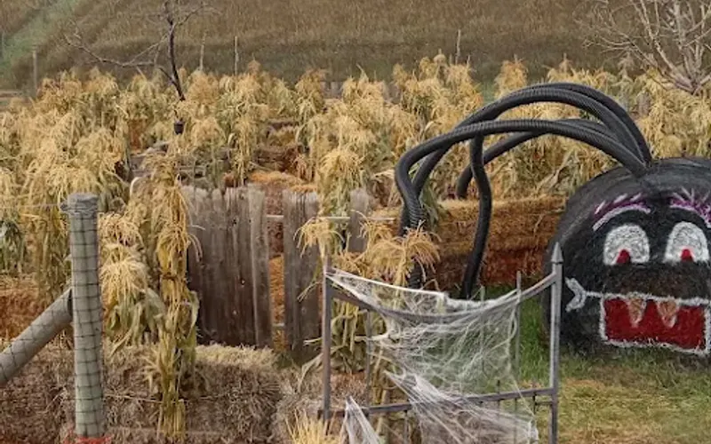 Tilleraas Landscape Nursery, Great Falls, MT — Garden center