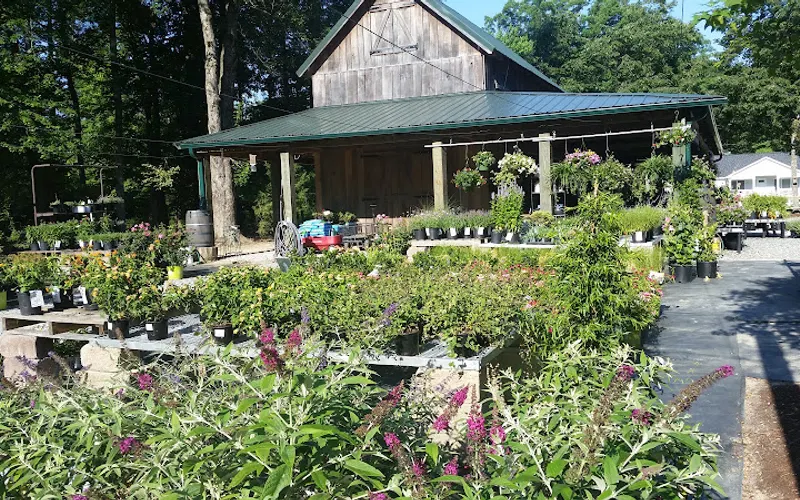 Coleman Nursery — Plant nursery