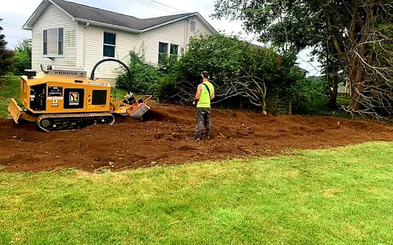Green Valley Tree LLC — Tree service