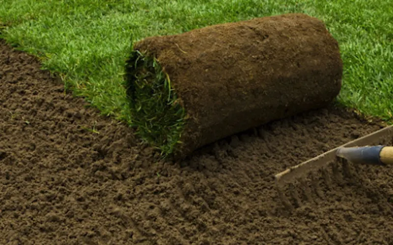 Oceanside Sod — Sod supplier