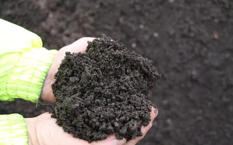 Skagit Soils Inc — Agricultural service